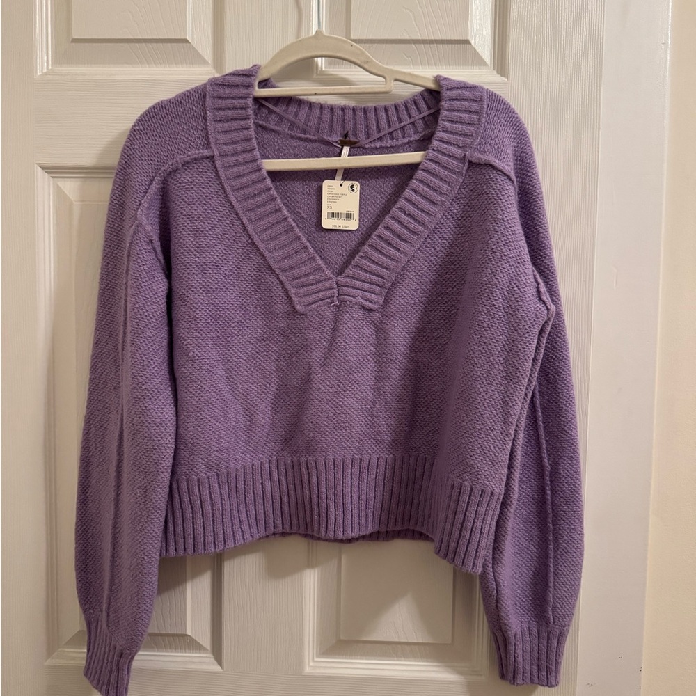 Free People Women's Purple V-Neck Sweater